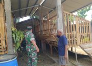 Komsos Babinsa Motivasi Peternak, Dukung peningkatan Kesejahteraan Masyarakat
