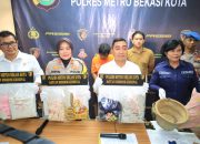 Pria Paru Baya “, Di duga Sang Pembunuh Anak di Bawah Umur Berhasil di Amankan Polres Bekasi Metro Bekasi Kota